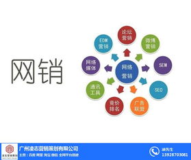 海珠区企业画册设计专家——凌志营销策划，信息系统集成服务优质商家