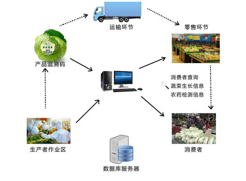 农产品溯源系统的核心功能与信息系统集成服务深度解析